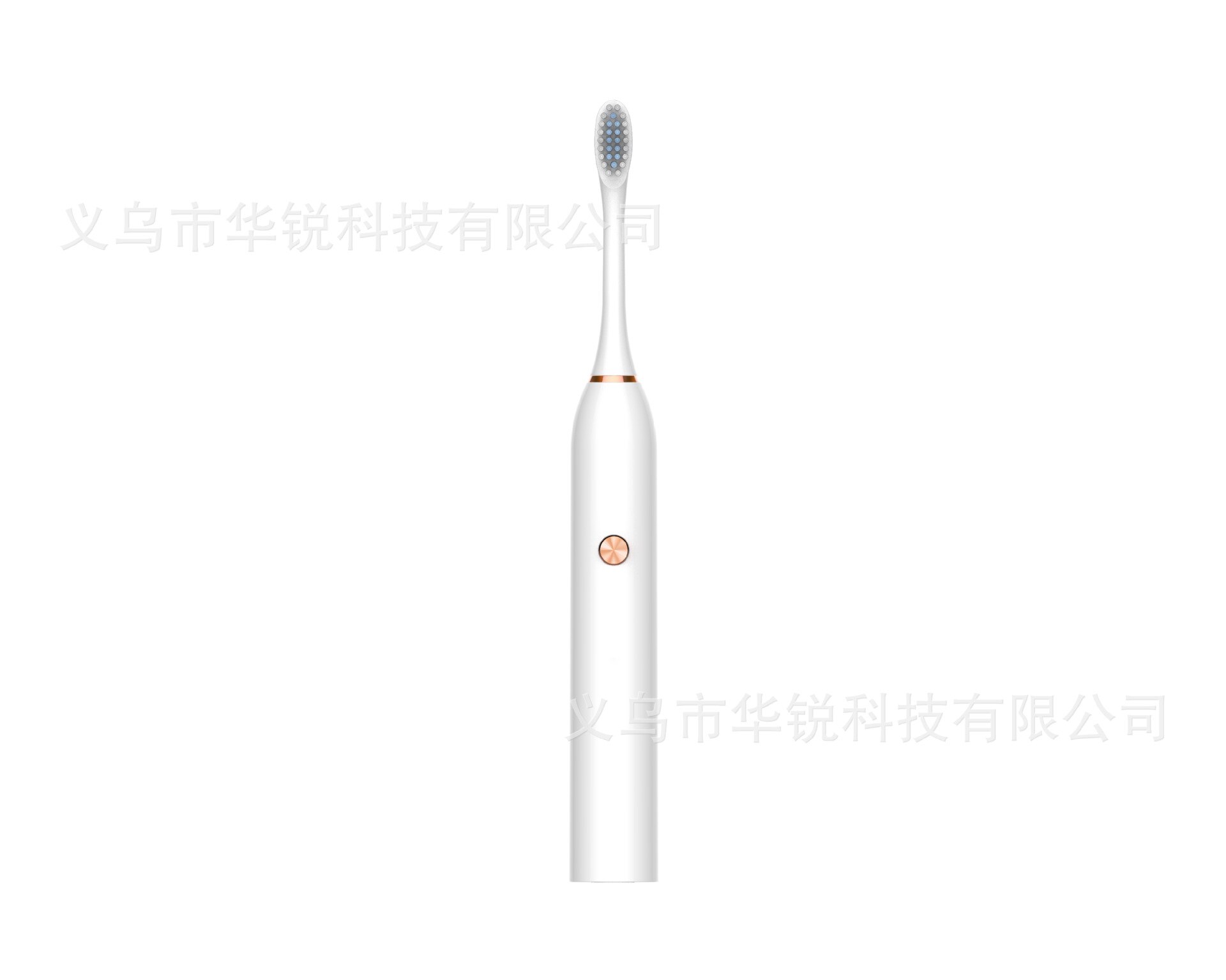 Electric Toothbrush Adult Sonic Toothbrush Battery Toothbrush Couples Toothbrush: White