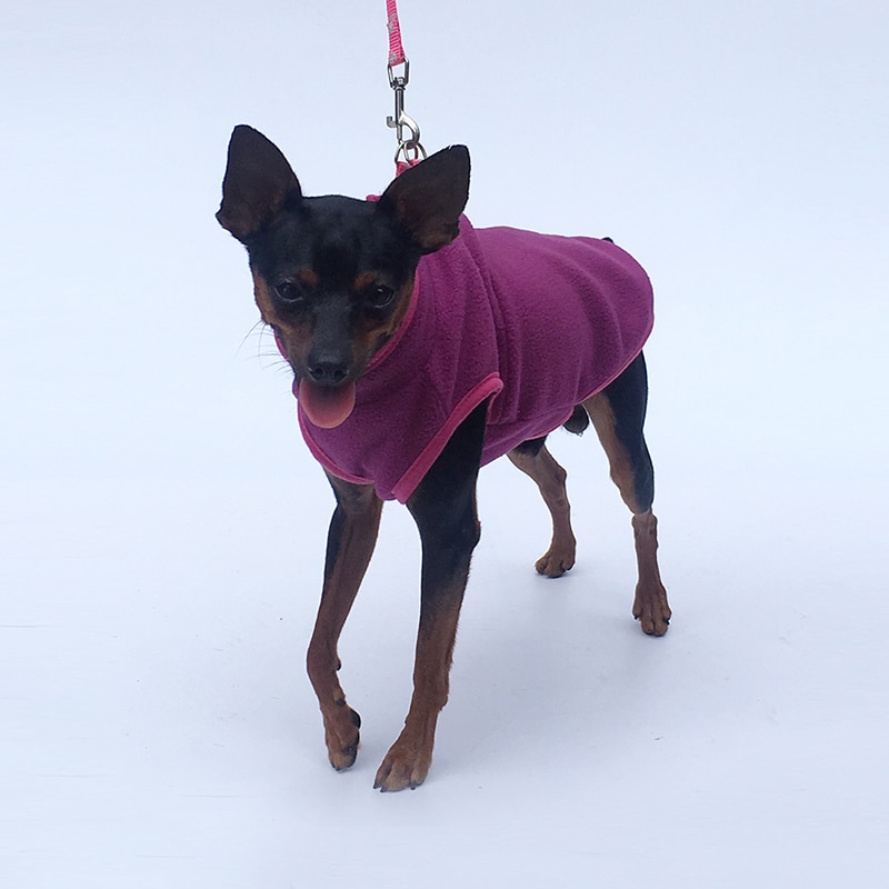 Pas cher chien vêtements hiver automne polaire vêtements pour animaux de compagnie pour petits chiens moyens gilet chemise manteau avec boucle uppy chien Costume