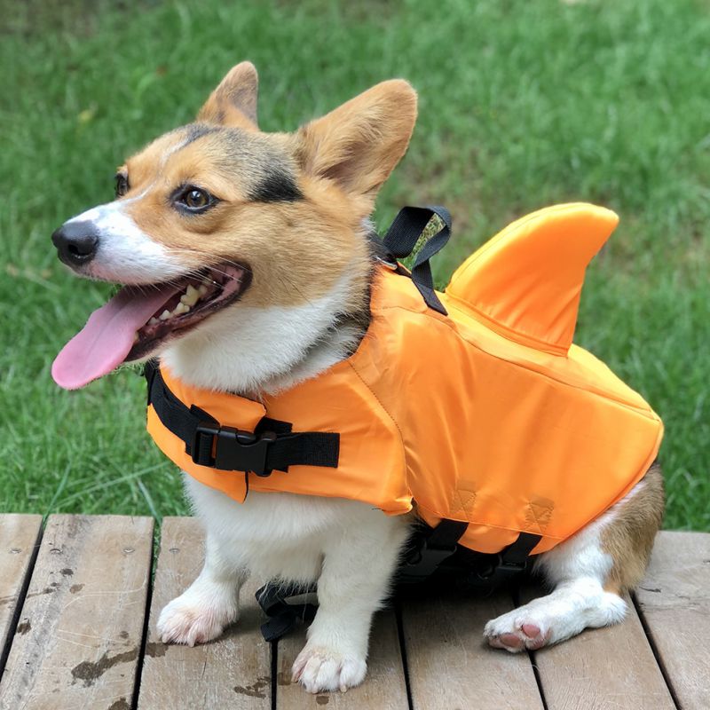 Chaleco salvavidas con forma de tiburón para perro, ropa de seguridad para Bulldog Francés, chaleco de natación de verano para perros pequeños, medianos y grandes