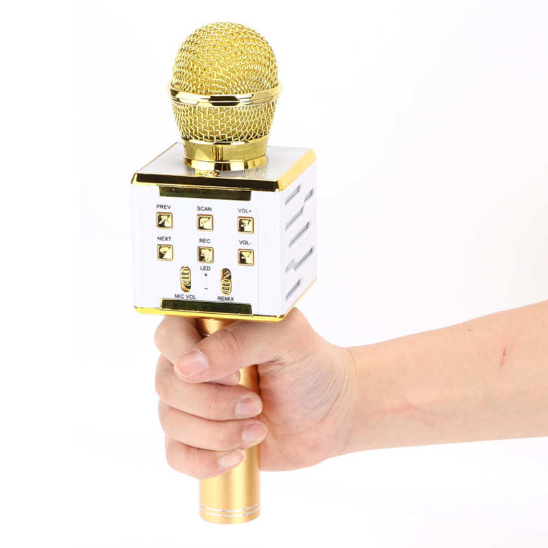 Microphone Portable sans fil, 5V DC, avec de réverbération, pour le chant