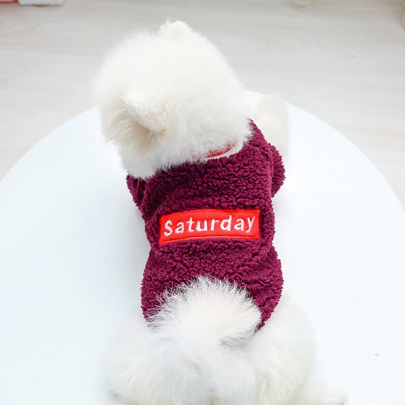 Petcircle kæledyrstøj bamse pomeranian lille hund hvalpe tøj hvalp hund fortykning efterår og vinter skjorte med rund hals: Lilla / Xs