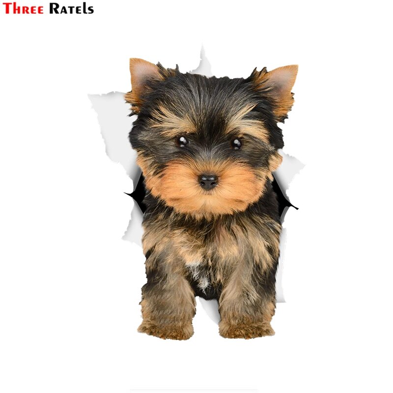 Drie Ratels 1074 3D Schattige Yorkie Hond Sticker Hond Decals Voor Muren Koelkast Auto Wc Bagage Skateboard Laptop: 50cm( 19.7inch)