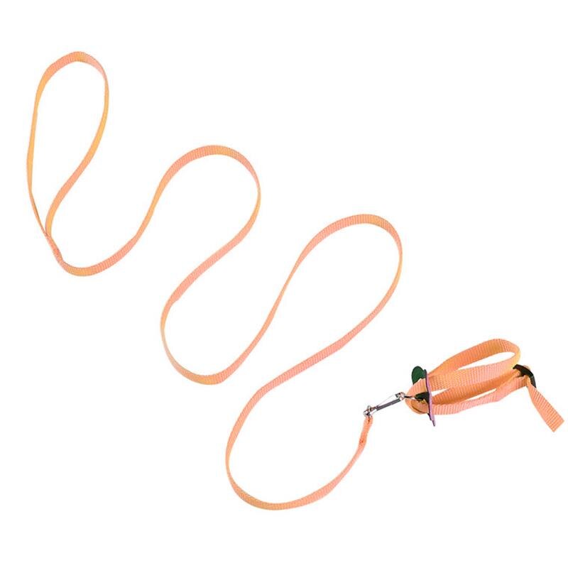 Zestaw uprząż i smycz chomika regulowane małe zwierzę smycz szczur świnka morska szynszyle uprząż liny akcesoria dla chomików: 5