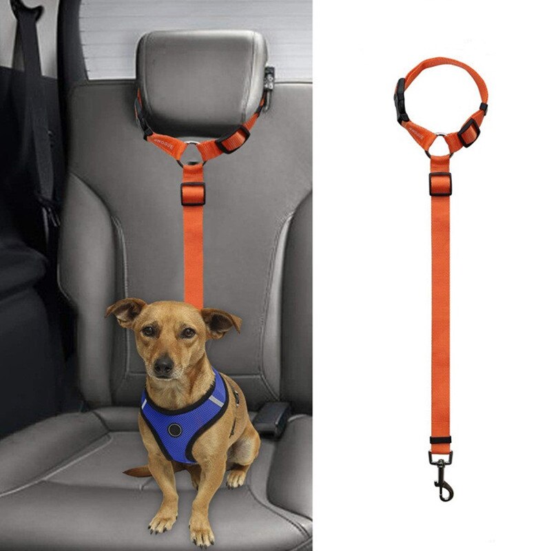 Verstelbare Autogordel Hond Nylon Leash Universele Kat Seat Riem Hond Keten Leiband Reizen Huisdier Accessoires Benodigdheden: Orange