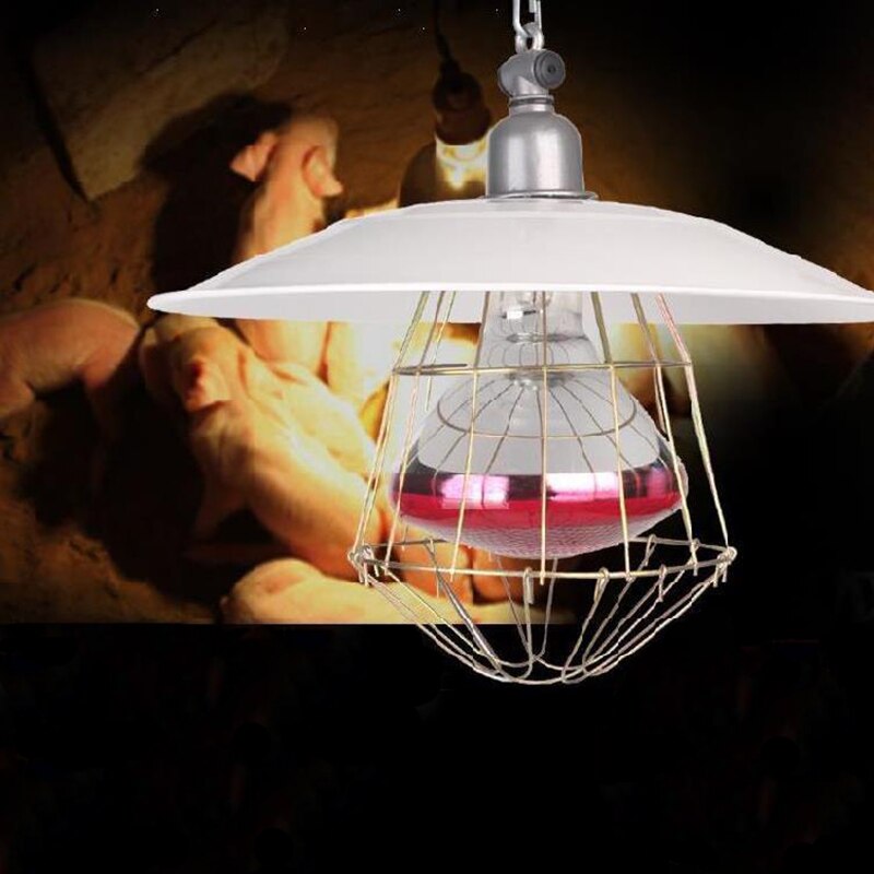Lampenkap pluimvee reptiel keramische warmtelamp beschermkap broedmachine anti-verbranding ijzerdraad licht beschermlamp accessoires