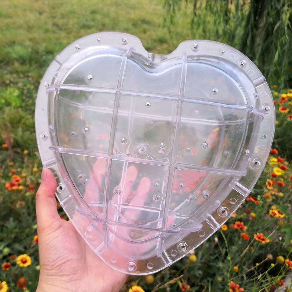 Garden Fruit Styling Mold heart shaped Watermelon growth molds Styling Die Heart Shaped Watermelon Mould Fruit Tree#0703G30