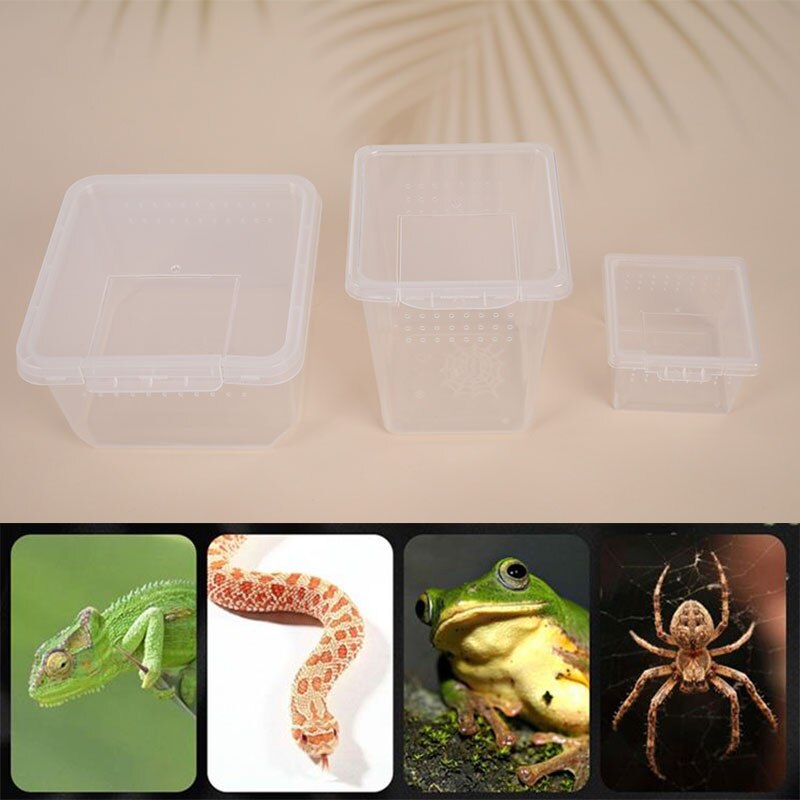 1pc Reptile Cage Hatching Container Rearing Tank for Lizards Terrarium Tortoise Spider Beetle Insect House Feeding Box