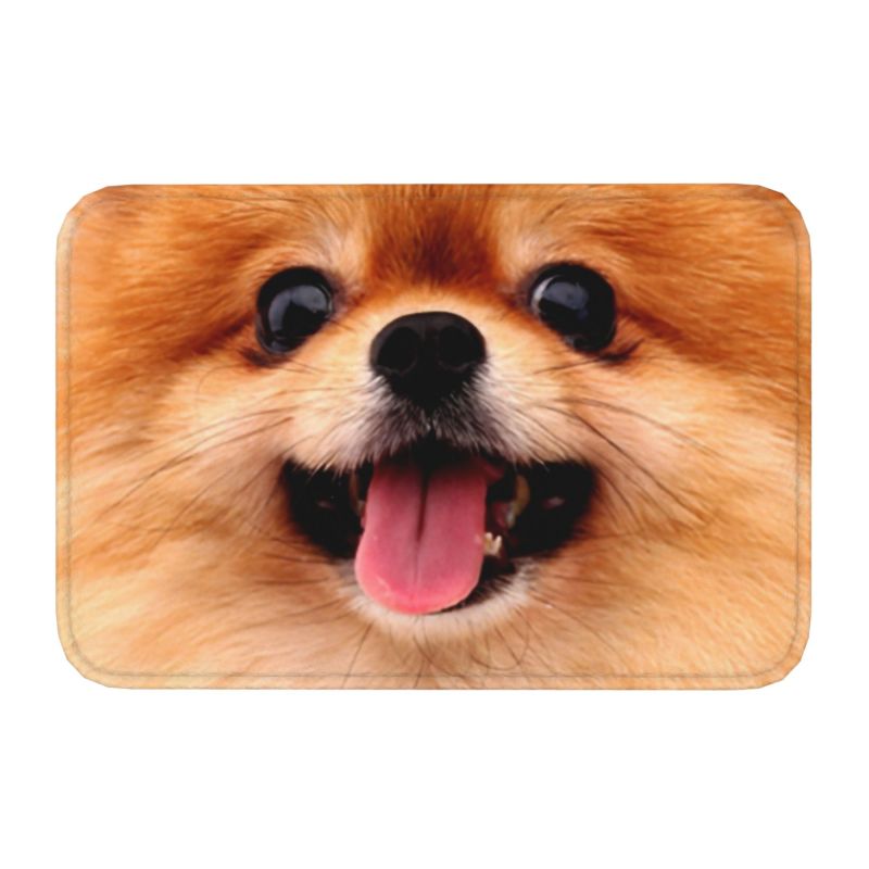Pomeranian Welpe Bodentür Küche Badezimmer matt Anti-Rutsch draussen Spitz Pom Hund Fußmatt Garten Eingang Teppich Teppich Fußpolster: Gelb