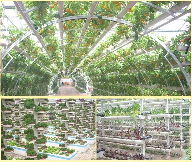 10 stk hydroponisk kolonisering mesh plante vokse pot netto børnehave kurv indehaver hydroponic aeroponic vegetabilsk plantning soilless