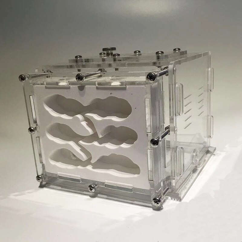 DIY Gypsum Ant Farm Plaster Ant Nest with Feeding Area Moisturize Ecological Ant House Workshop for Pet Anthill