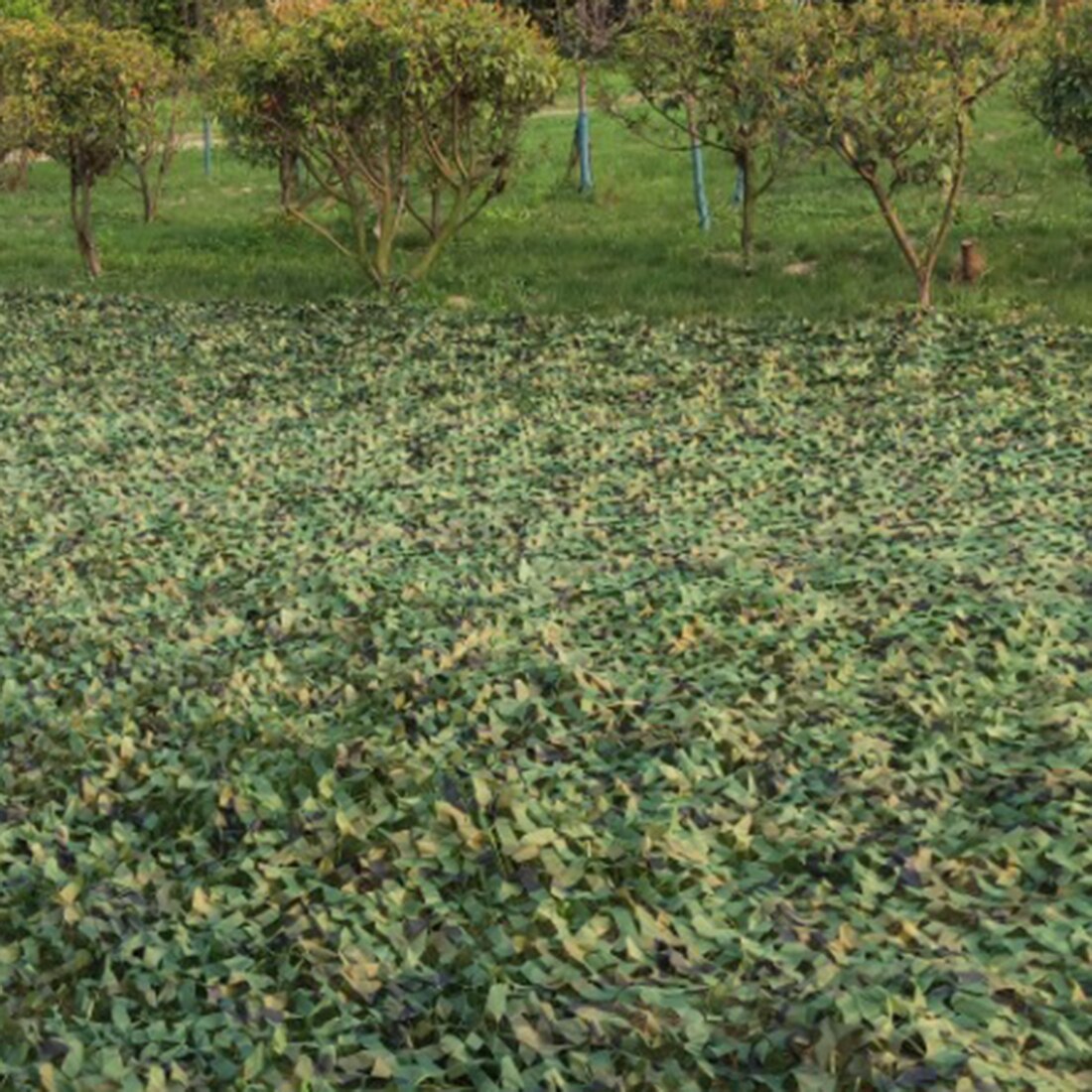 1.5 x 7m CS Theme Outdoor Aerial Photography Net Hotel Bar Decoration Net - Jungle Digital