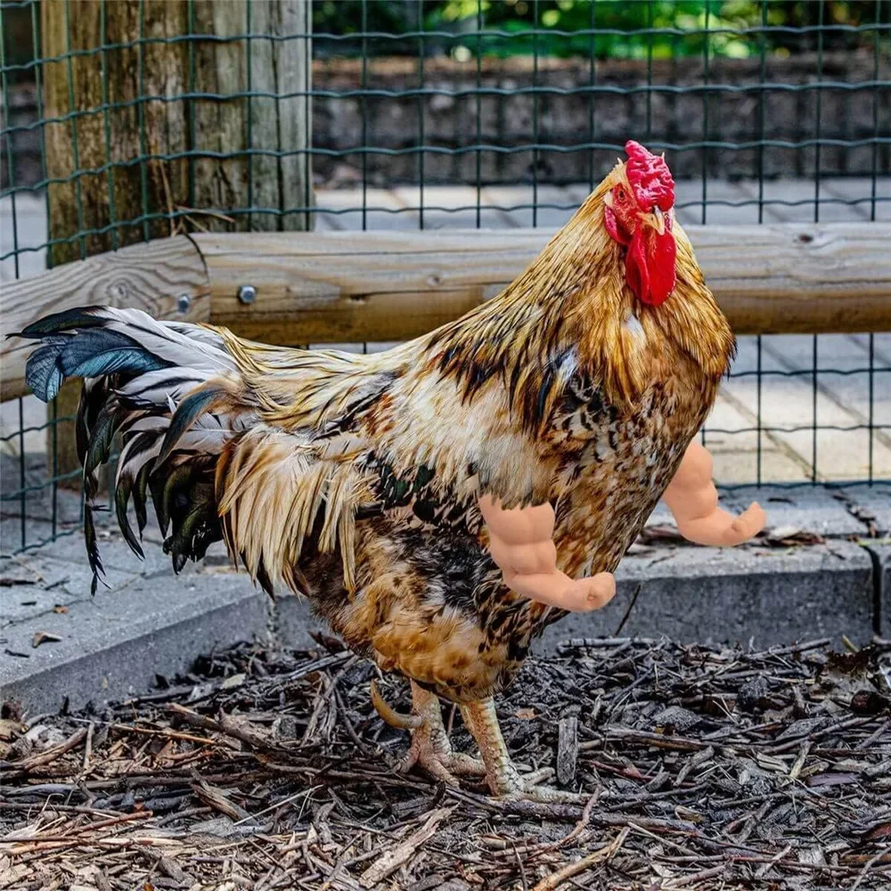 Bras de Musculation Artificiel Jetable pour Pigeon Poule, Jouets de ixà Thème pour Animaux de Compagnie, Accessoires de Gastronomie Amusants
