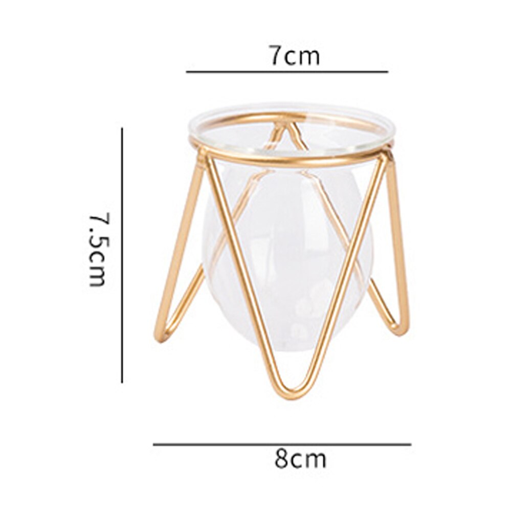 Table Desk Bulb ABS Hydroponic Vases Flower Plant Pot with Iron Tray Office Decor DEC889: Clear