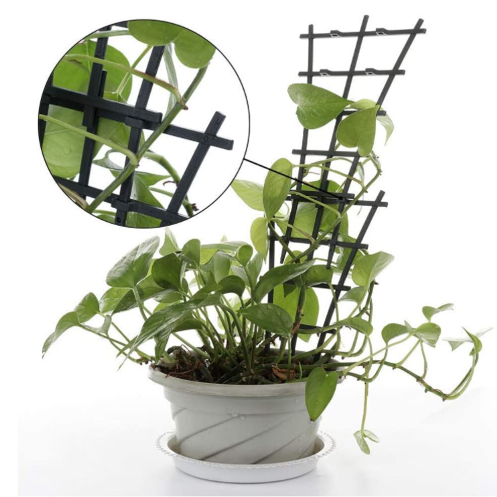 Plant Klimrek Ondersteuning Frame Tuin Mini Bovenop Potplanten Ondersteuning Plastic Ondersteuning Lijn Voor Groenten En Bloemen