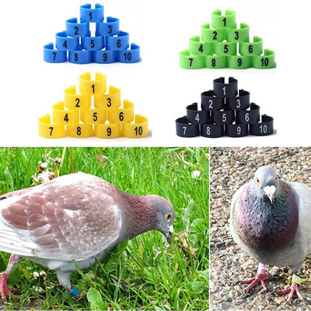 Salg ！！ 100 stk fugl fjerkræ papegøje kyllinger plast 1-100 nummererede duer benbånd ringe