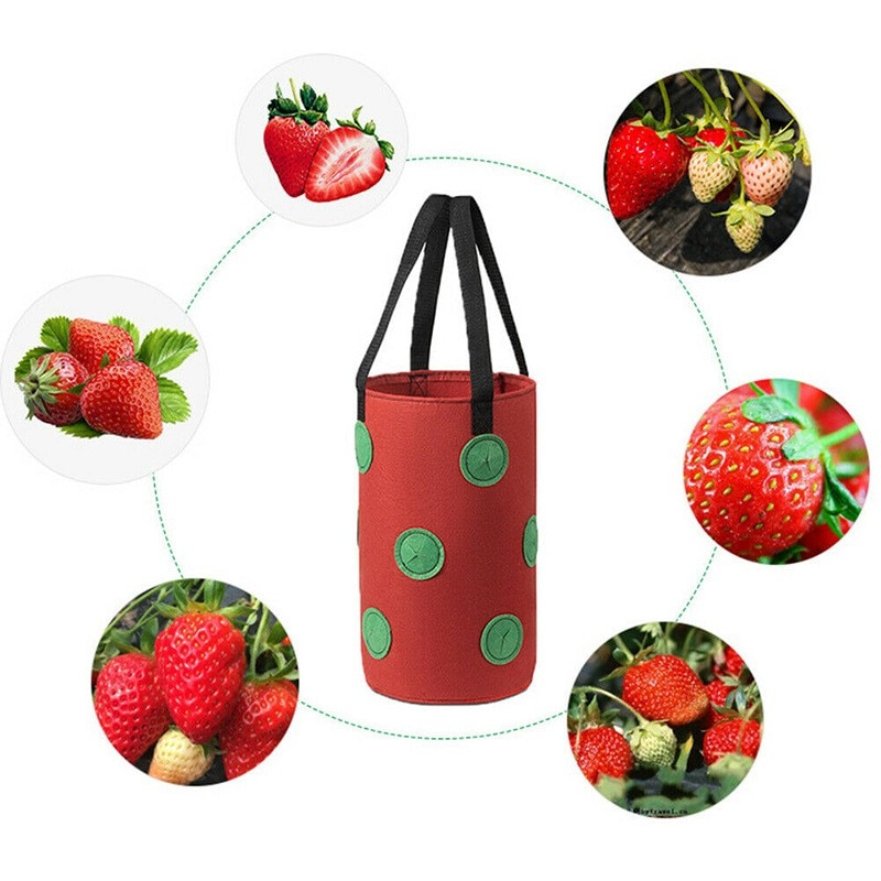 Bolsa de cultivo de fresas, tela no tejida Vertical para jardín, bolsa colgante para plantas, plantador de patatas y verduras para invernadero, 3 uds.