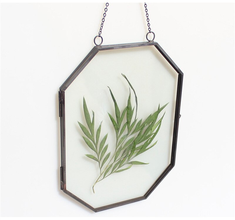 Noordse achthoekige koperen geometrische fotolijst voor aan de muur, glazen specimenhouder, fotomap voor thuisdecoratie: Zwart / 8 inch