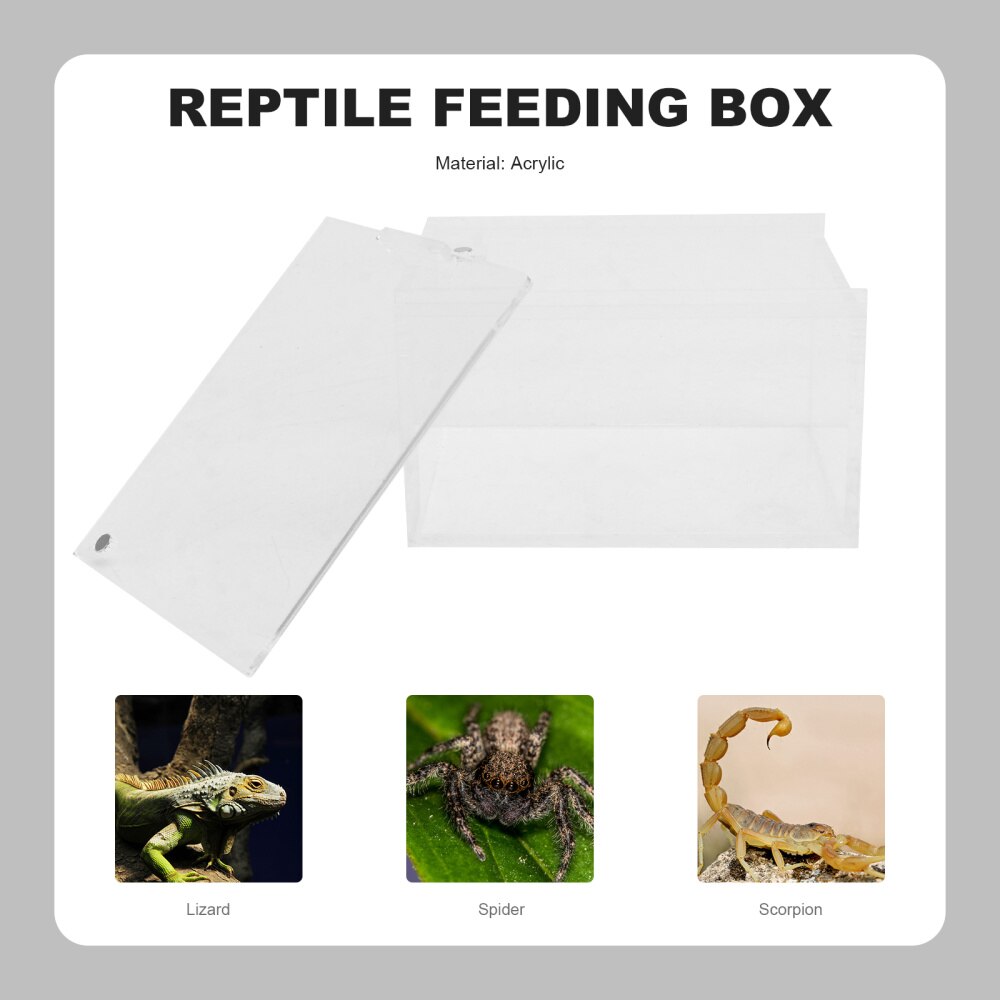 Climbing Pet Feeding Box Insect Spider Small Pet Aquarium Breeding Box