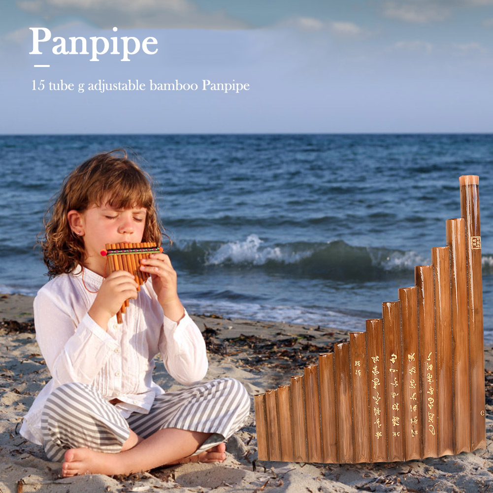Instrumento de viento de bambú Natural, 15 tubos, llave G, instrumento chino tradicional de viento de madera con bolsa de barra de limpieza