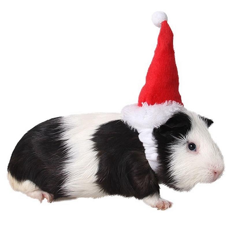 1 Pcs Kleine Huisdieren Hamster Kerst Hoed Katoen Pluche Warm Cavia Rat Knaagdieren Decoratie Xmas Kerstman Glb Voor Vrolijk kerst