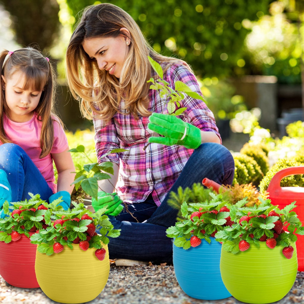 5 Colors Mini 10*10cm Colorful Plastic Flower Pot Succulent Plant Flowerpot For Succulent Plants Home Office Decoration