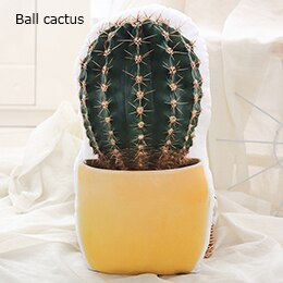 Planten Vormige Pluche Kussen Sofa Stoel Rij Decor Bloeiende Bal Cactus Aloë Goniopora Involucrata Vrienden Ht: Ball cactus