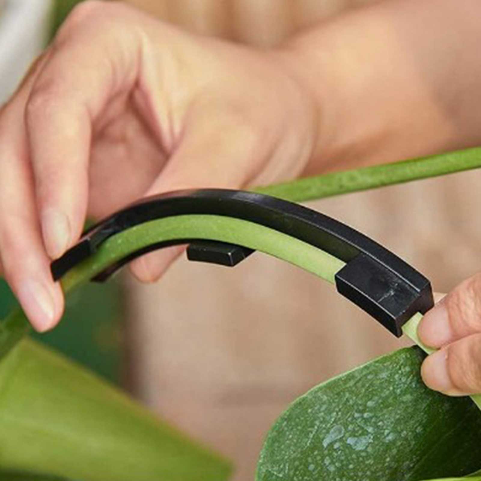 10pcs Plant Branch Benders Fruit Tree Folding Modeling Tool Reused Gardening Tree Branch Bender Fixing Garden Tool