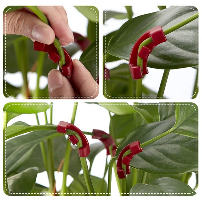 30 Piegatrici A 90° Per Piante QEDBOJE, Clip Verdi Per Steli Fino A 10 Mm, Per Fiori E Ortaggi, Riorganizzazione Rami