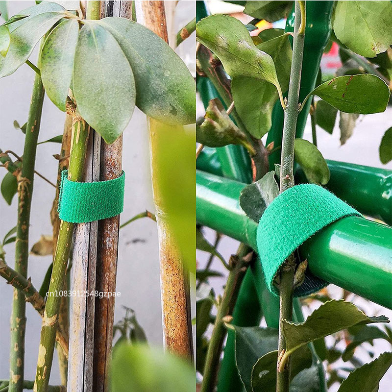 100/1m Nylon Pflanzen krawatten Pflanzen verband Haken Binde schlaufe verstellbare Pflanzens tütze wieder verwendbares Befestigungs Band für Hausgarten zubehör