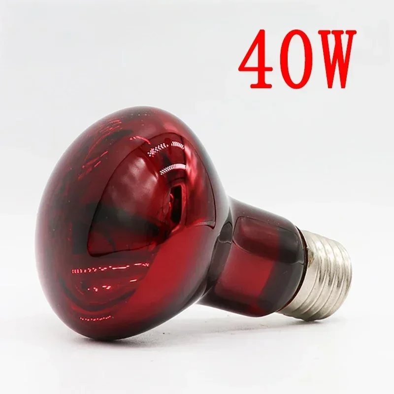 220V UVA Amfibische Rode Verwarming Lamp 25/40/50/60/75/100W Infrarood Lamp Glazen Lamp Accessoires voor Reptielen Slang Hagedissen: SCARLET