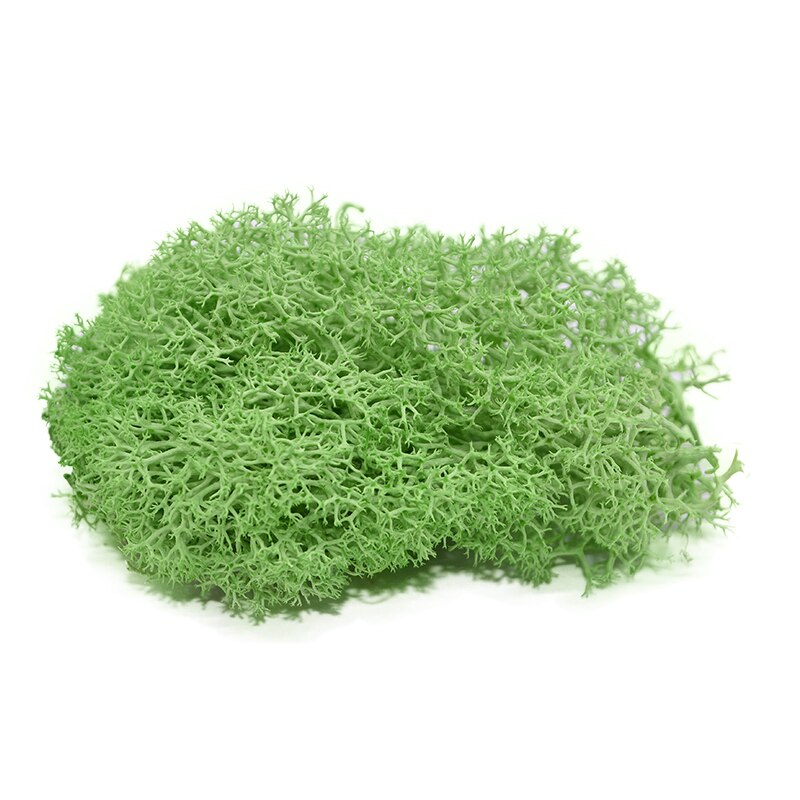 40g kunstig grønn plante mose diy bakgrunn vegg hage hjemmedekorasjon mini mikro landskap tilbehør: B07