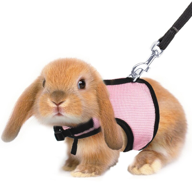 Conjunto de arnés y correa de conejo hámster, 5 colores, Hurón, conejillo de indias, rata, Animal PEQUEÑO, mascota, arnés para pasear ledes S/M/L/XL