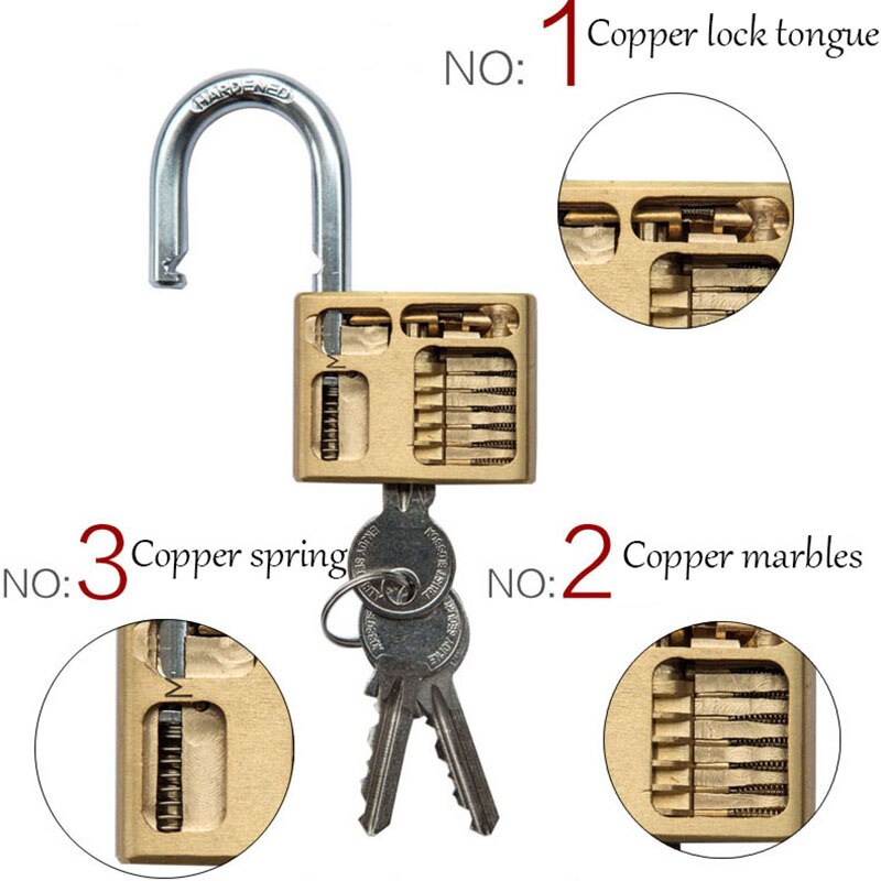Stainless Steel Padlock Wolf Head Brass Lock Small Door Locks 25mm 32mm 40mm 50mm 63mm all bronze Lock Core Include 3 keys