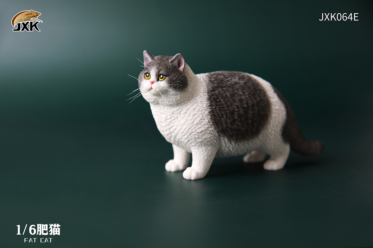 JXK 1:6 Scale Fat Cat Figure Cute Pet Animal Model Collector Kids Toy Desktop Decor Shorthair Cat Trendy Ornaments: JXK064E