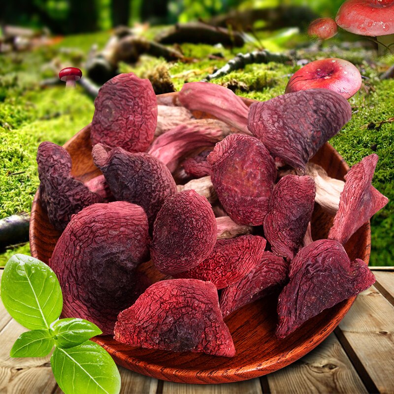 Russula Vinosa, Lindblad, reusula vinus, setas Rojas