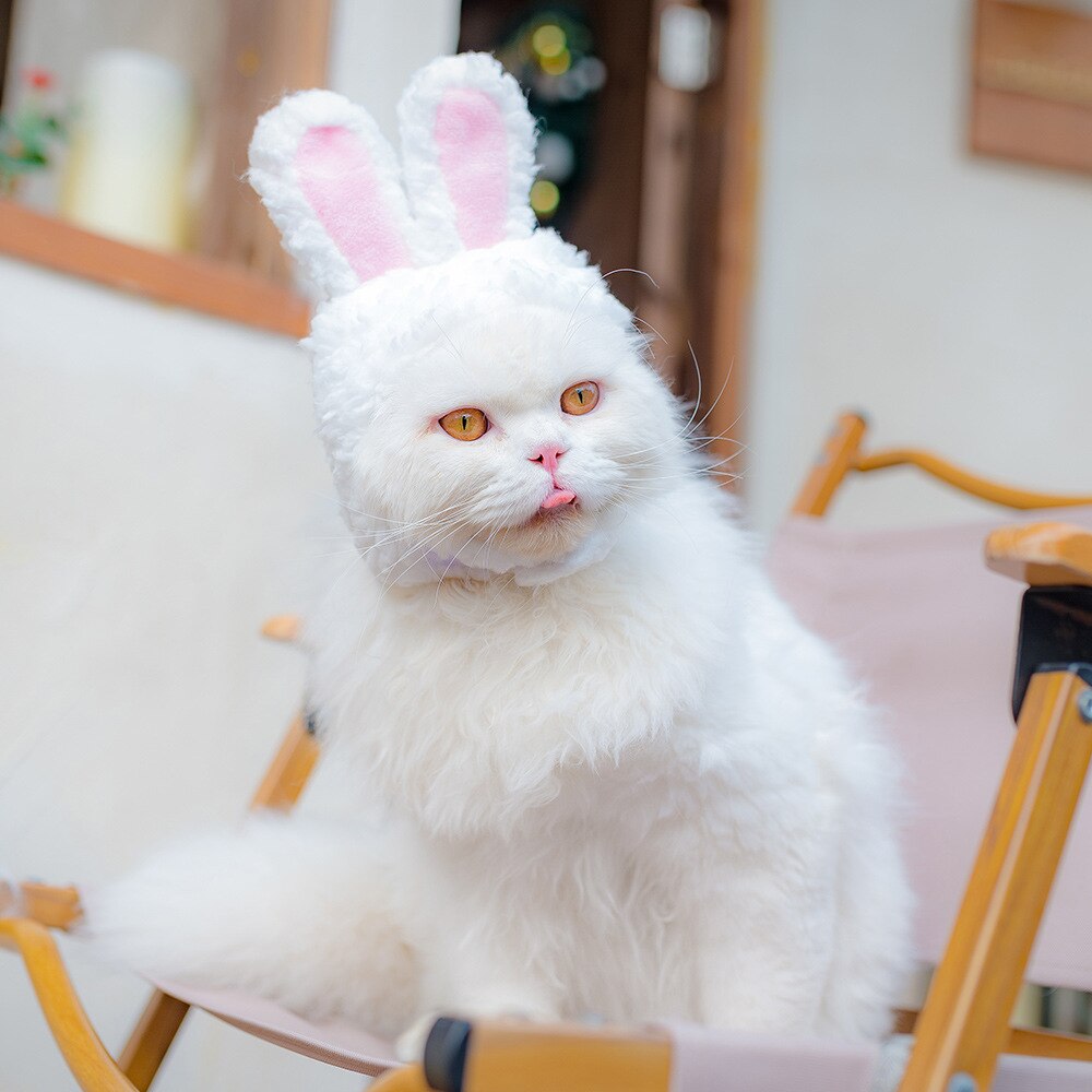 niedlich Kostüm Hase Hase Hut mit Ohren Katzen&Ampere;klein Hund Party Kostüm Ostern Zubehörteil Headwear Party Kleid,fotografisch Requisiten