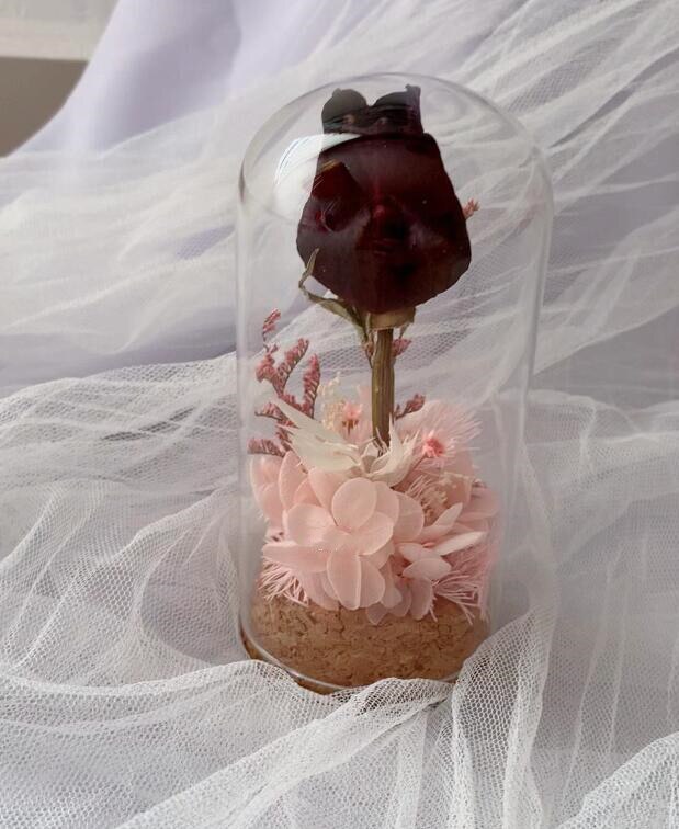 20pcs Clear Glass Cover With Wooden Base Tabletop Display Container Landscape Vase Durable Glass Jar Dome Glass Cover Home Decor