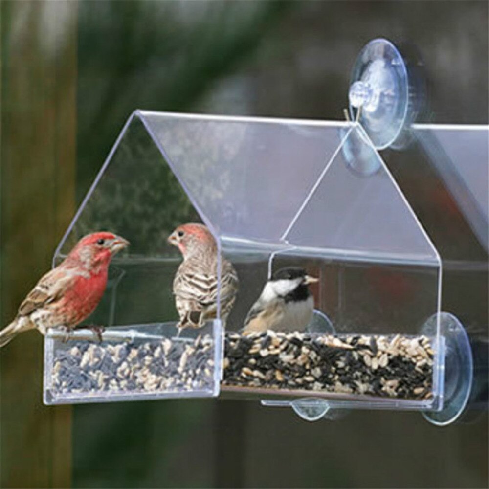 Perroquet tourterelle canari volière fenêtre transparente mangeoire pour oiseaux en plein air pour oiseaux récipient d'alimentation pour nourriture Pigeon fournitures pour animaux de compagnie