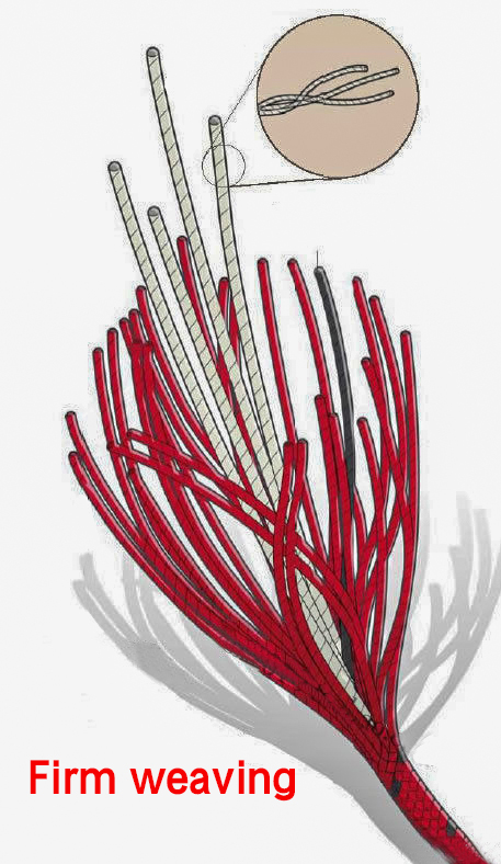 Cloth Hinge for Wrangler JK W/ Wiring Protector door for Two Jeep Door Limiting Strap