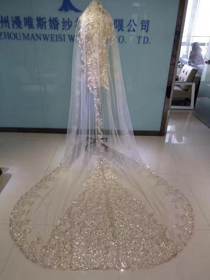 3M Long Champagne Wedding Veils With Lace Applique Edge One Layer Round Cathedral Length Veils With Comb Bridal Veil