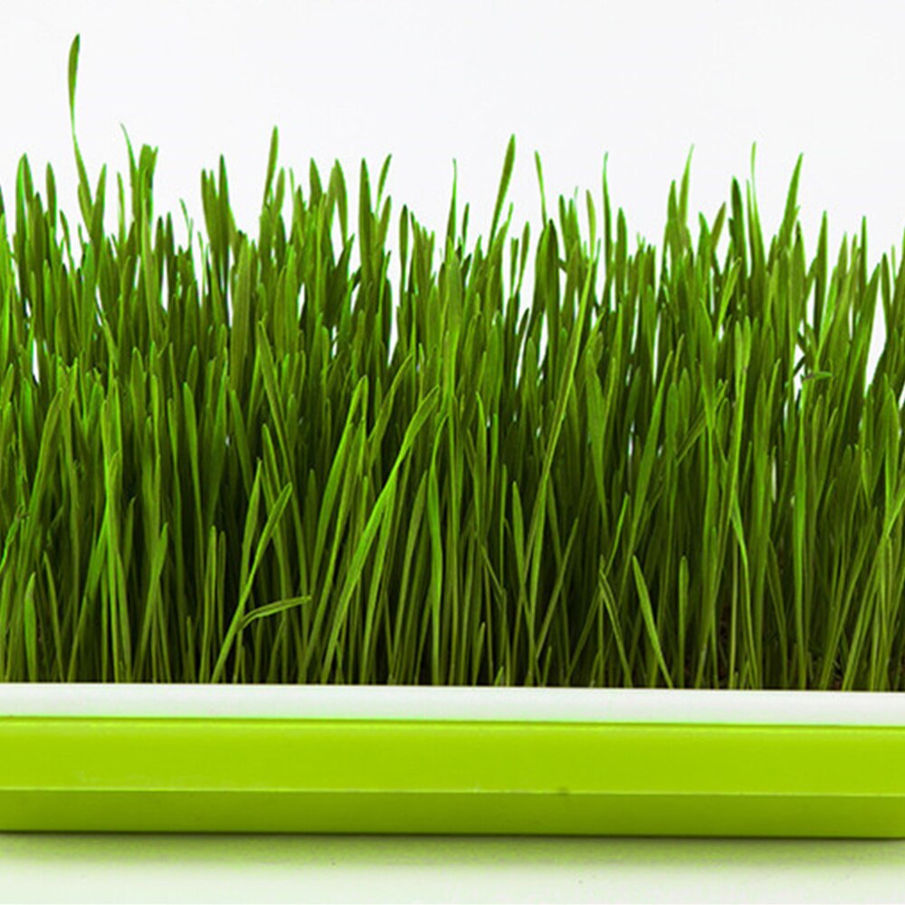 4 Set Zaad Kiemen Bassins Grondloze Sprouter Trays Water Planten Containers Nursery Site Voor Tarwegras Soja Groene (Willekeurige C