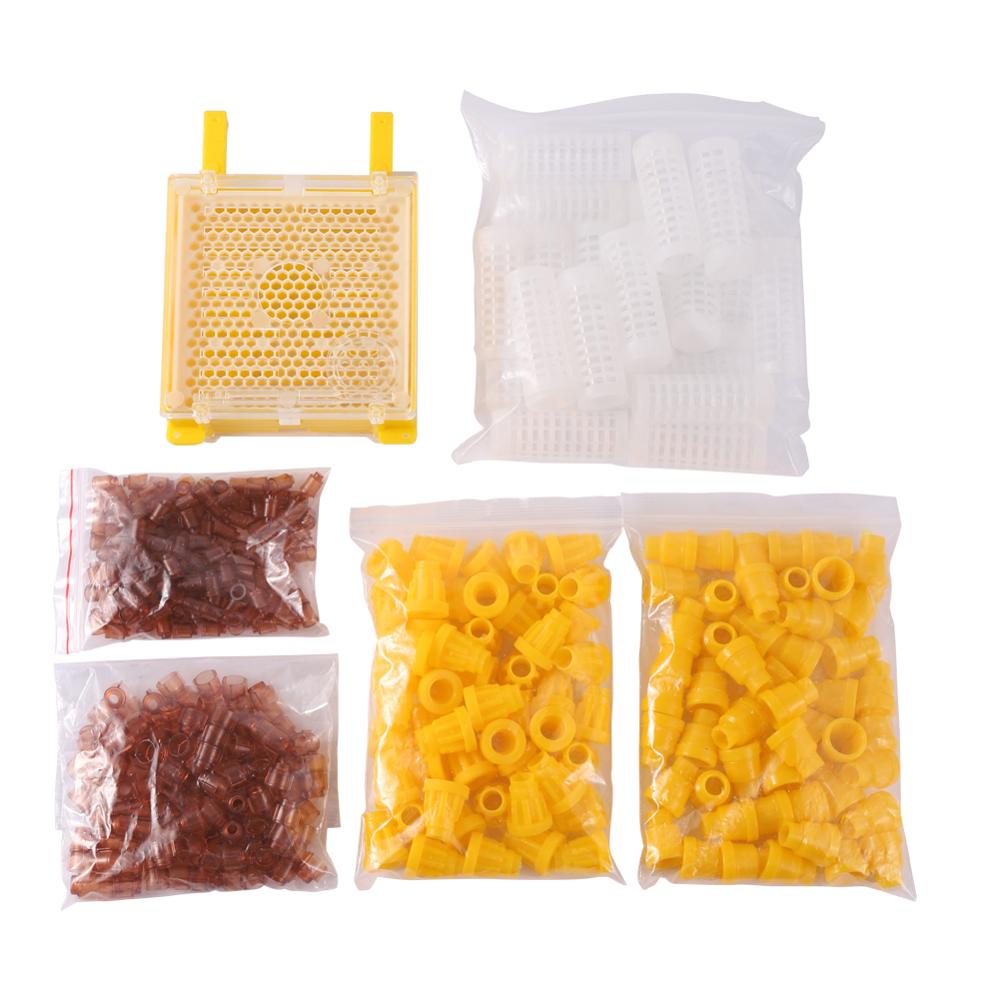Queen Rearing Box Bee Breeding Kit Beekeeping Tool Kit Queen Cell Complete Queen Rearing Kit Beekeeping Rearing System 1 Set