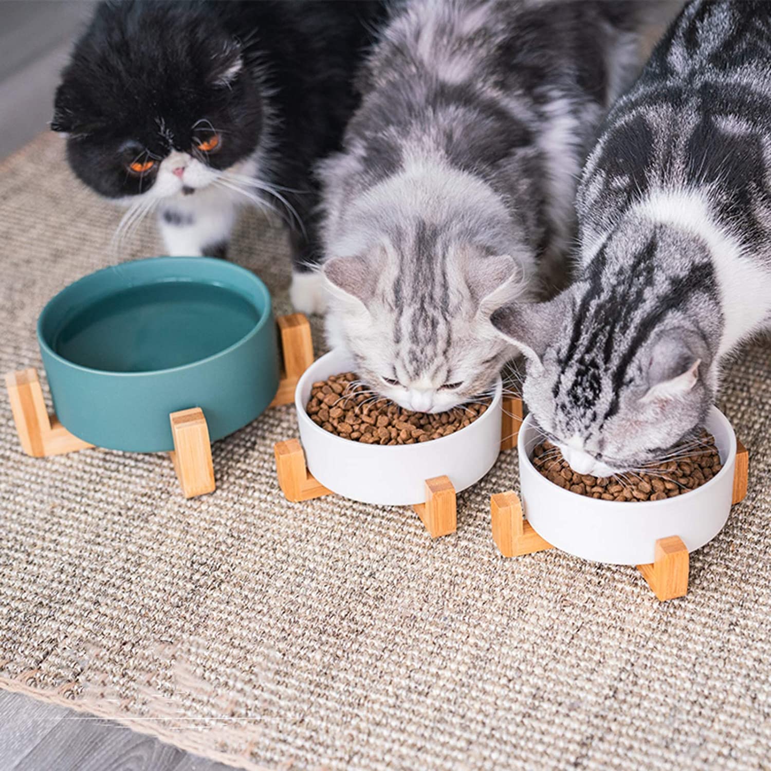 Bol à nourriture pour chiot en céramique avec support en bois antidérapant distributeur d'eau lavable pour aliments pour animaux de compagnie pour chats petits chiens bols pour animaux de compagnie fournitures