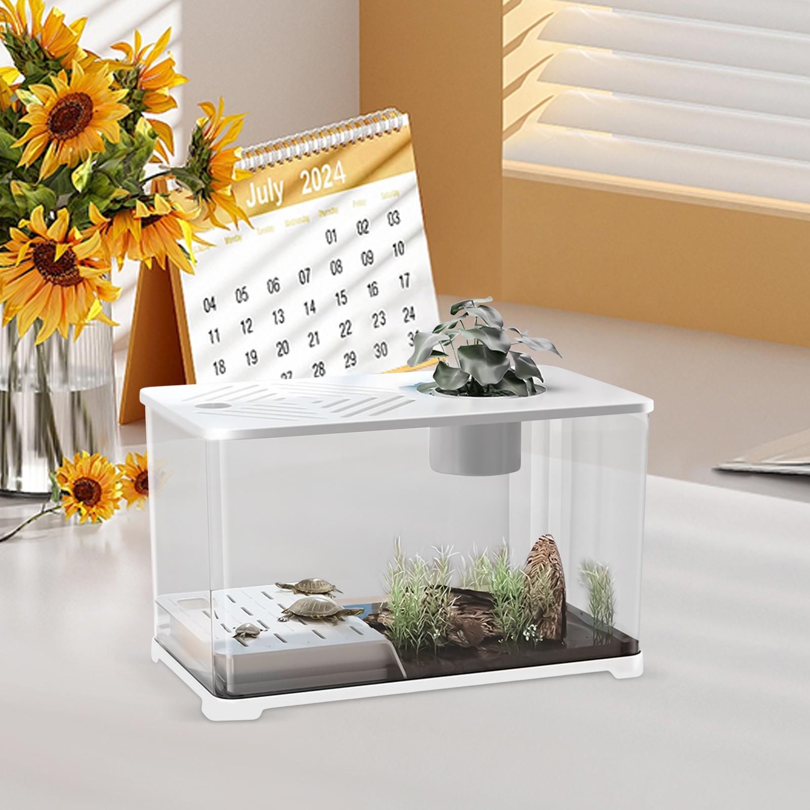 Akwarium na biurko, duży akwarium, pojemnik na akwarium, panoramiczne HD z miejscem robić odpoczynku dla żółwi, robić uprawy roślin wodnych, gupików.