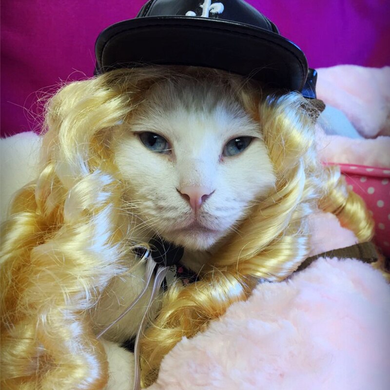 [MPK Huisdieren] Kat Pruik Pet Gouden krullen Pruik Kat hoed