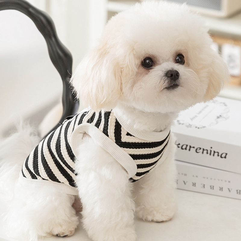 Zomer Hondenkleding Huisdierenvest Zwart Wit Gestreepte Hondenvesten Met Tractie Gesp Chihuahua Bichon Hondenkleding Schattig Puppy Kostuum