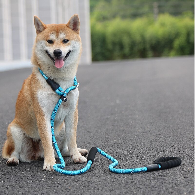 Reflecterende P Keten Hondenriem Slip Halsband Pet Wandelen Leads Nylon Lange Hond Touw Zachte Dubbele Handvat Voor Medium Grote honden Benodigdheden