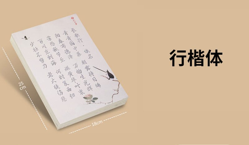 Chinese Copybook Small Regular Script Shou Jin Ti Copybooks Brush Pen Caligrafia Copybook Child Basic Poem Calligraphy Copybooks: D 120sheets
