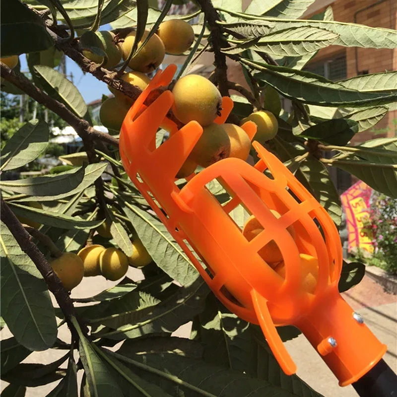 Herramientas de jardín, cabezal recolector de frutas, herramientas de plástico para recoger frutas, recogedor de frutas, recogedor de manzana, cítricos, pera, melocotón, herramientas manuales