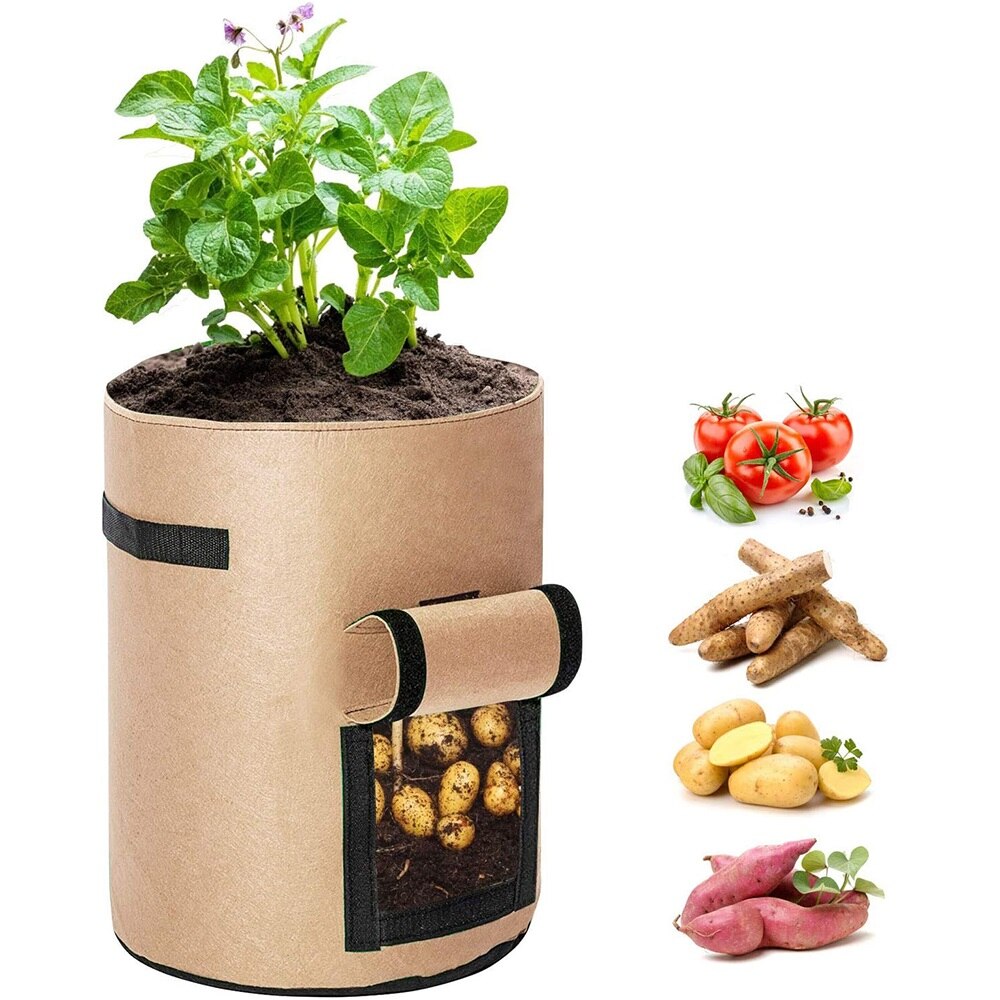 Sacs de culture de pommes de terre de 10 gallons, sac de plantation de  jardin avec